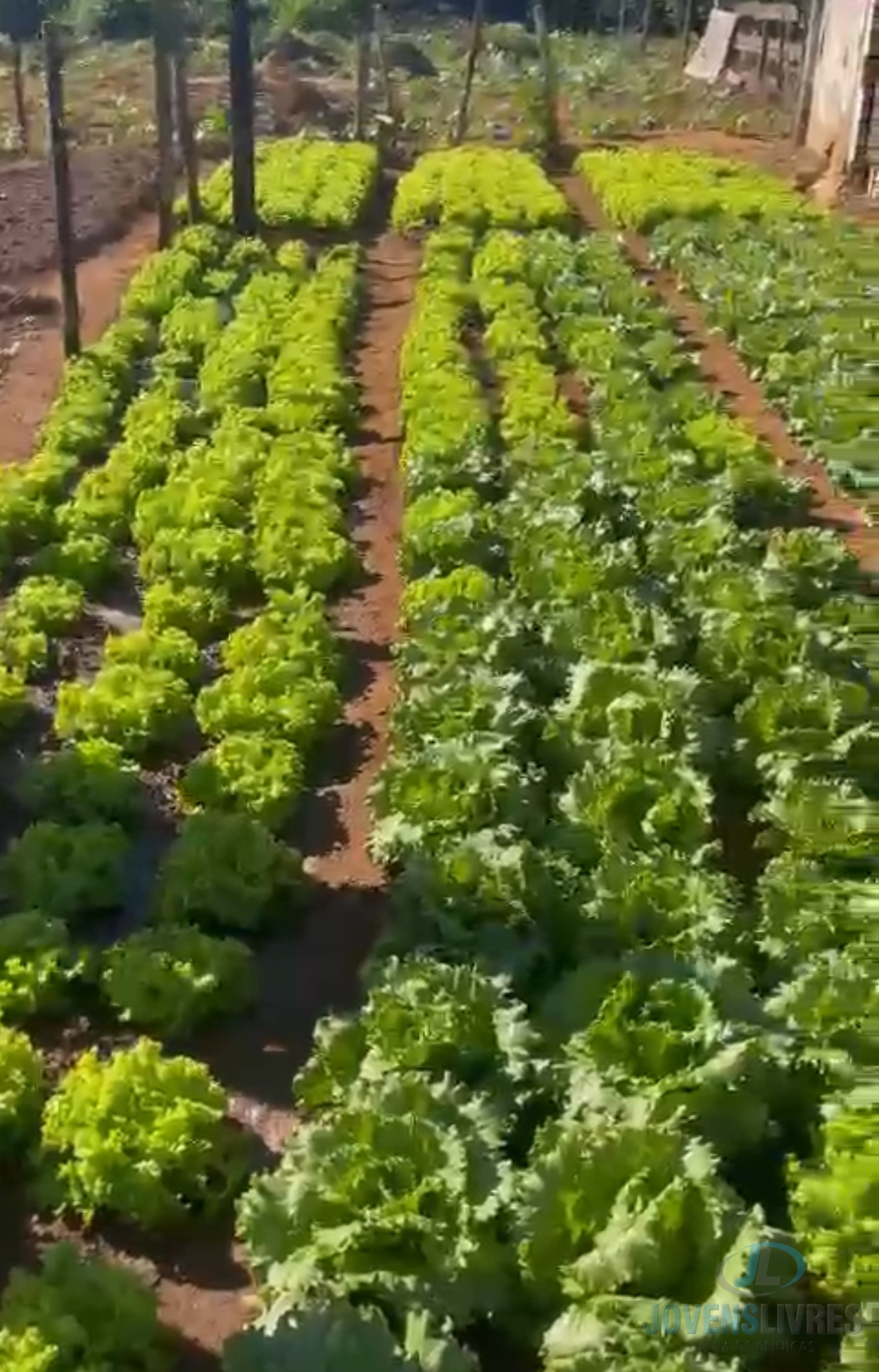 TRATAMENTO PARA DEPENDÊNCIA QUÍMICA E ALCOÓLICA