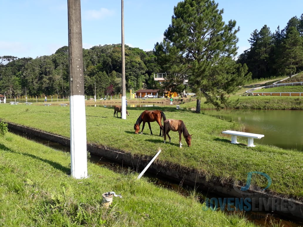 ClÃnica em Embu Guaçu São Paulo ClÃnica em Embu Guaçu São Paulo